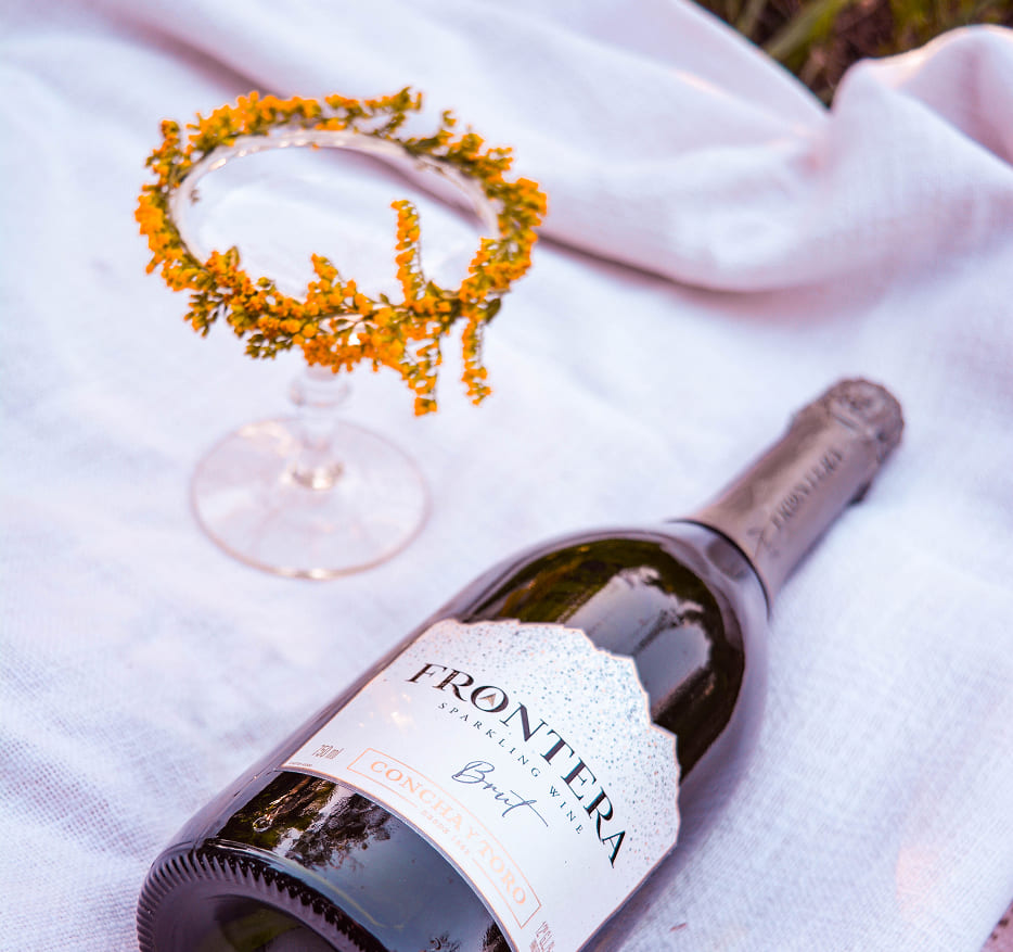 Frontera Wines